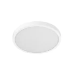 MI D30 SMART CEILING LIGHT